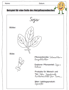 Mein Nutzpflanzenbuch